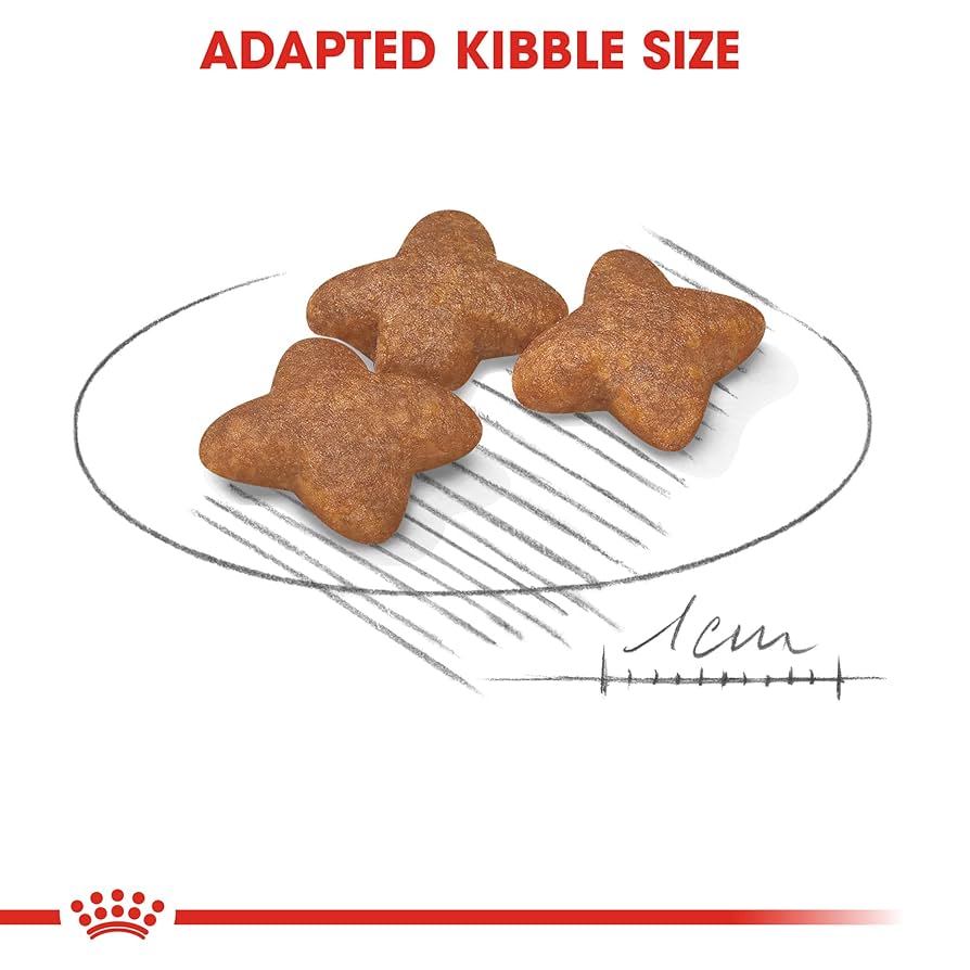 2個セット　 CANIN ミニアダルト 15kg 楽天市場】ロイヤルカナン ミニインドアアダルト2kgの通販